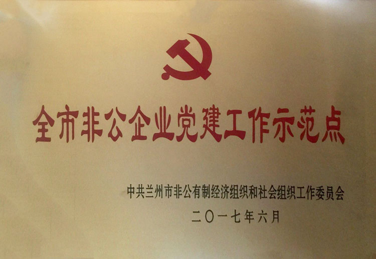 全市非公企業(yè)黨建..